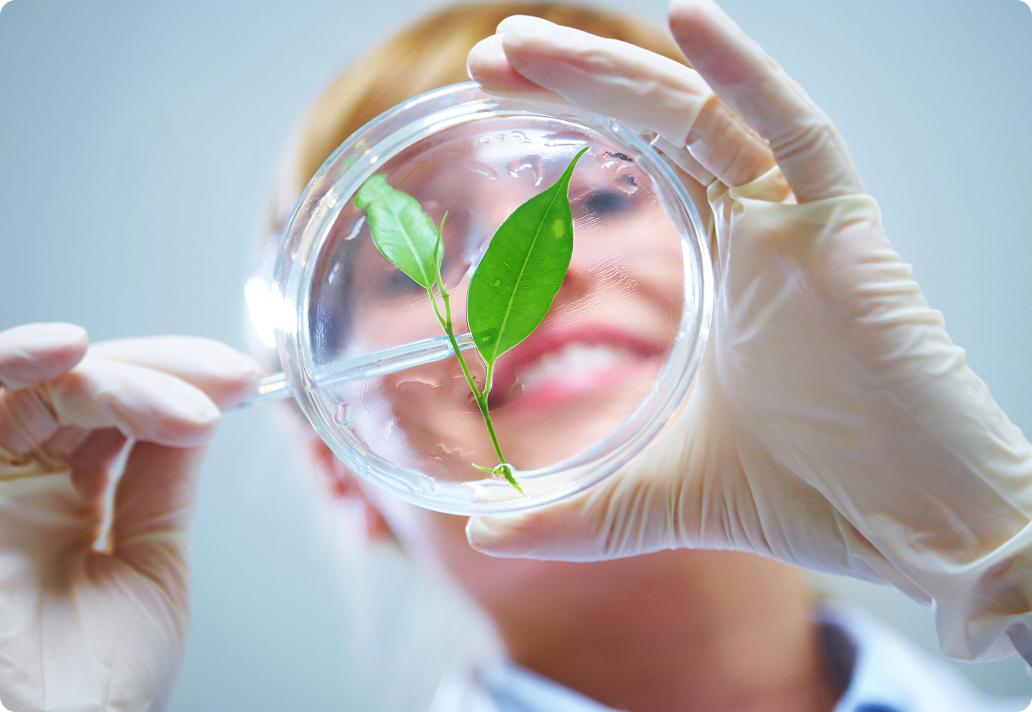 Science-based Carbon Footprint Calculation integrated into Sustainability Reporting